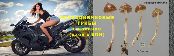 спиды Армянск