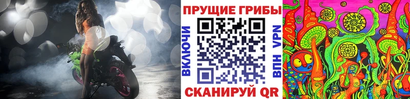 что такое наркотик  Сенгилей  ОМГ ОМГ как войти  Галлюциногенные грибы Magic Shrooms 
